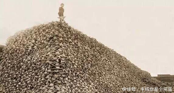 潜水服|一组罕见老照片,图2引无数男人回头,最后一张看了让人震撼!