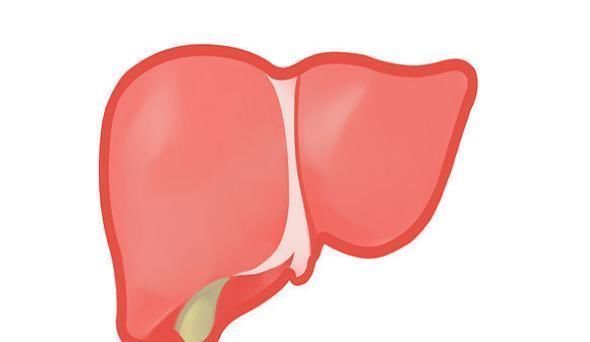 凝血功能|肝病大多是“拖”出来的，皮肤出现3种改变，多半是肝在“求救”