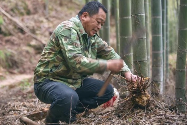 鱼肉|年龄越大，越要多吃肉医生提醒过了55岁后，2种肉不妨多吃点