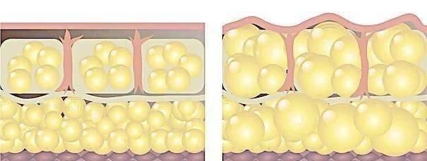 小姐姐|胖子逆袭成“越南第一健身少女”,沙漏般腰臀,科学减脂真的重要