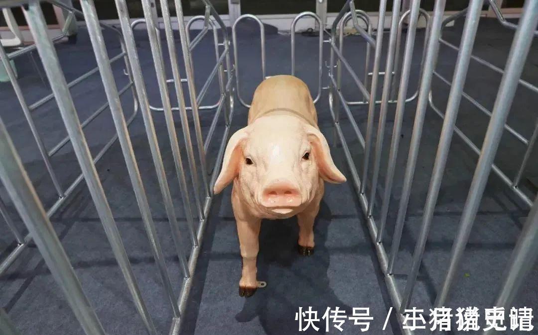 克隆|科大讯飞“年度大秀”又火出圈了!克隆真人语音只要1句话