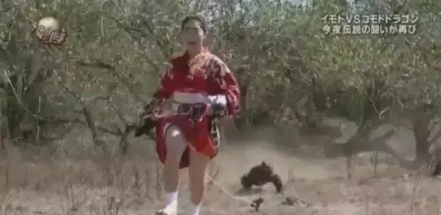 上日本综艺的女嘉宾:被踹头、拎着双腿扔出去,还要说谢谢?