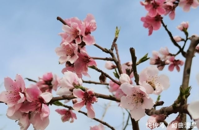 女子|老话说：“女子有红艳，门悬桃花斩”，啥意思？如何压制桃花运？