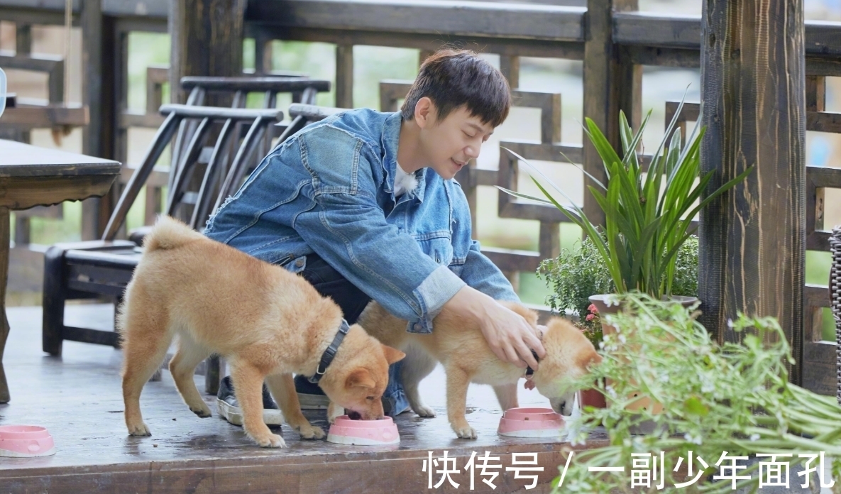 入味|這么尷尬?何炅剛吹捧,那英后腳抱怨“沒入味”,黃磊廚藝遇危機(jī)