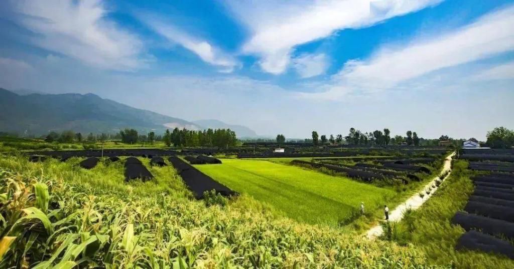 有空|如果你刚好有空，一起去汉台发个呆吧~