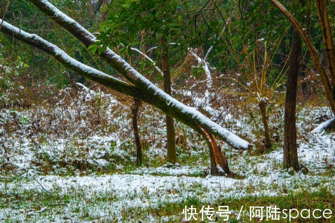 耳听八方|在雨雪天气游玩西溪湿地,风景很美但也要当心这些地方