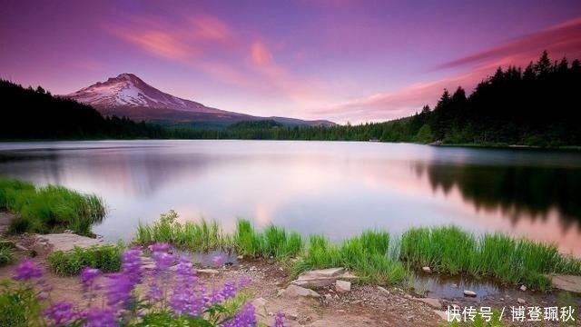 水调数|北宋词人醉后睡醒，写下一首伤春词，其中七字惊艳世人