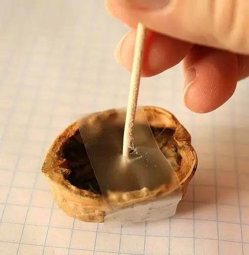 保证|吃完的坚果不能丢,坚果壳变身记,保证创意一箩筐