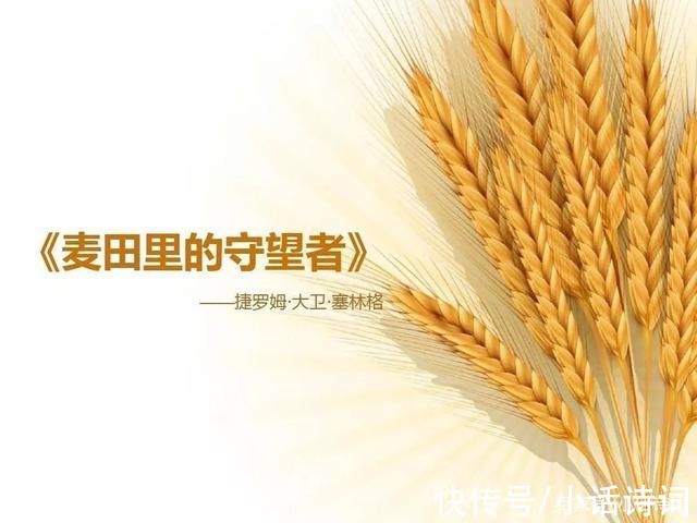 菲比|《麦田里的守望者》:书中的守望者是谁?读者:这个守望者叫善良