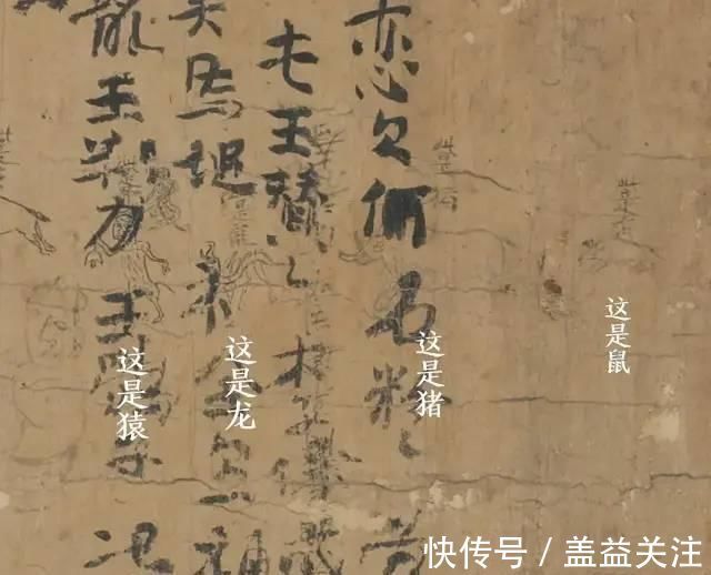 小动物|太萌了，“一千年前小朋友写的字”上了热搜！