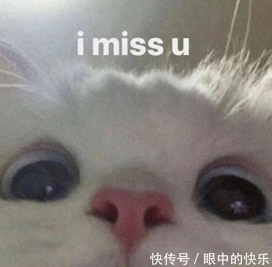 动漫|微信头像:动漫男头