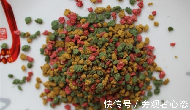 饵料|野钓鲤鱼螺鲤、九一八、蓝鲫的搭配方式，合理搭配效果更好！