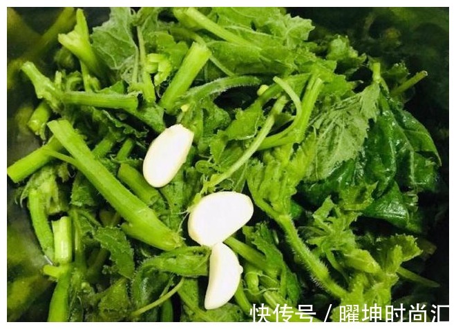 夏天|“天然止泻药”被找到,农村遍地是,消炎止泻,助你轻松过夏天