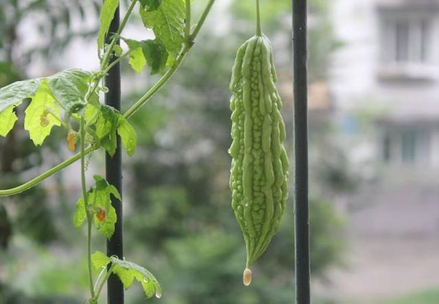 糖尿病|血糖高的人,睡觉时会有3种异常,若没有,血糖控制得还不错!