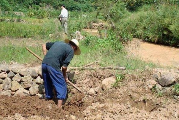 这件文物乃是国宝中的国宝,禁止出国展览,发现者获五双手套奖励