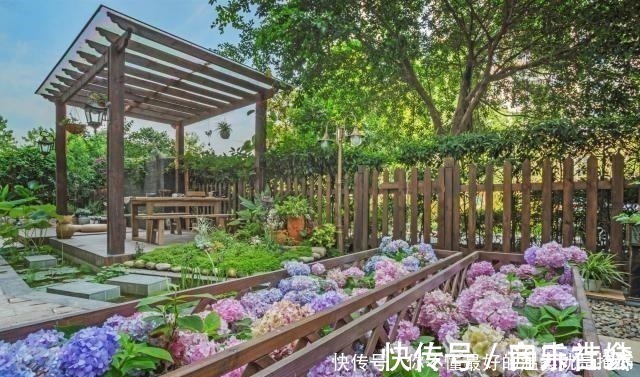 池塘|假如我有一个庭院,我会晒晒太阳种种花,带你看遍世间繁华