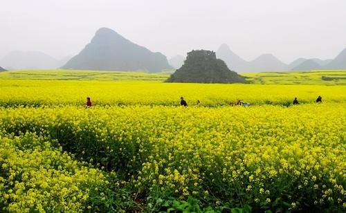 老年|成都户外：2月-3月旅行地榜单，看到第一个就忍不住想出发