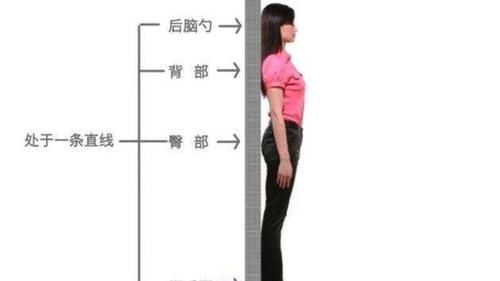 减肥者们|三伏天或是减肥“黄金期”,努力做好这4件事情,体重或能悄悄降