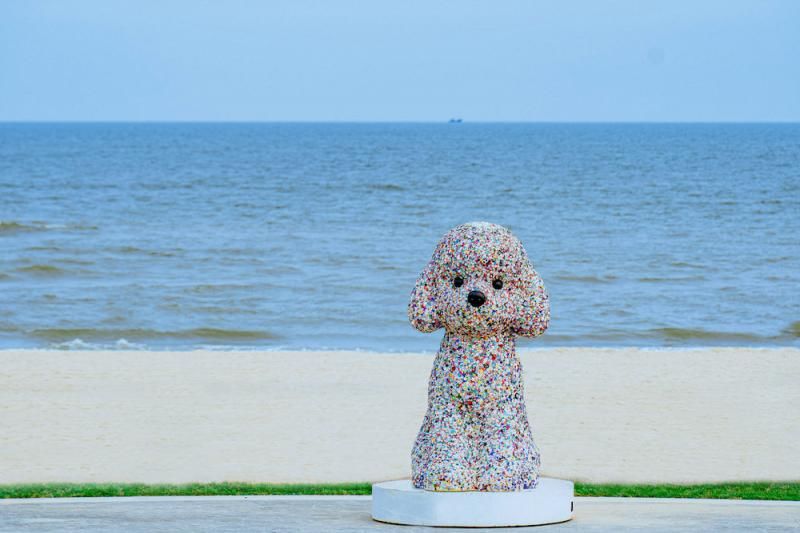 苹果派|因热爱相遇，2021远洋蔚蓝海岸大地艺术季盛大启幕