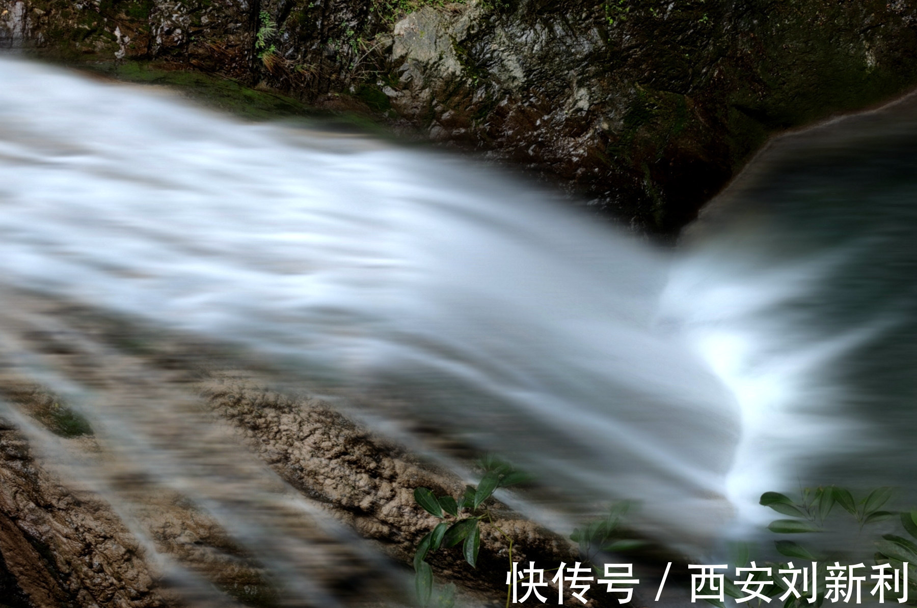 后湾村|赏商南后湾村 阳城驿 金丝峡美景 品鉴泉茗茶宴 商南小吃宴 金丝十三花