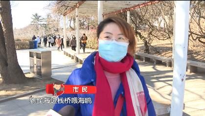 花开|迎春花开 欢度安静祥和年