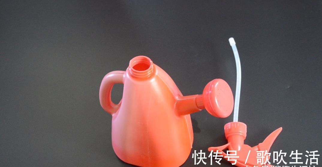 广藿香油|卫生间里放一瓶藿香正气水, 作用太棒了, 解决了很多家庭的烦恼