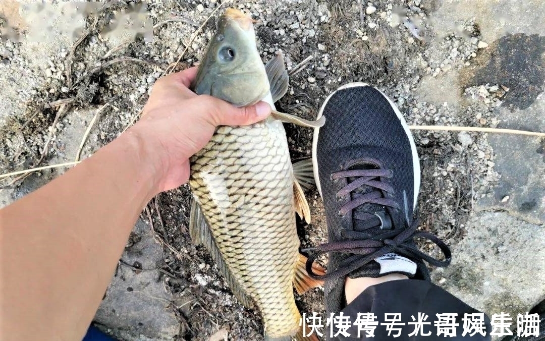 野钓|带钩调漂与不带钩调漂有何区别?哪种调钓更适合野钓?