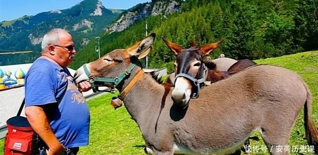 幽默|普奥战争中的幽默小国,派出80名士兵参战,战争结束回国81人