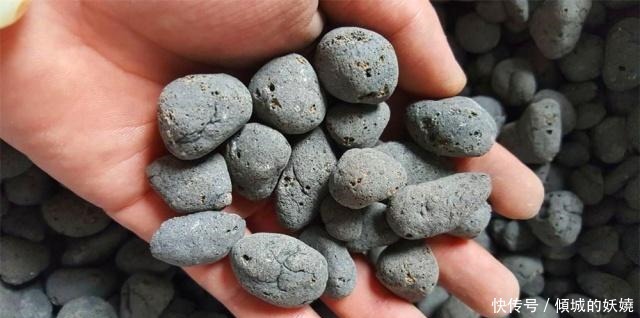 工地边的“3种石料”没人要,却不知,都是栽花好料,养啥花都旺