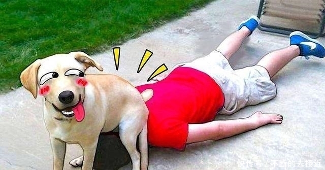 孩子|“把手放下,给我下来!”被我吓哭的熊孩子,背后注定有个熊家长