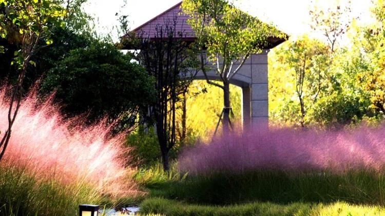 采风行|“精品弘润·与您同行 ”——潍坊弘润媒体采风行圆满结束！