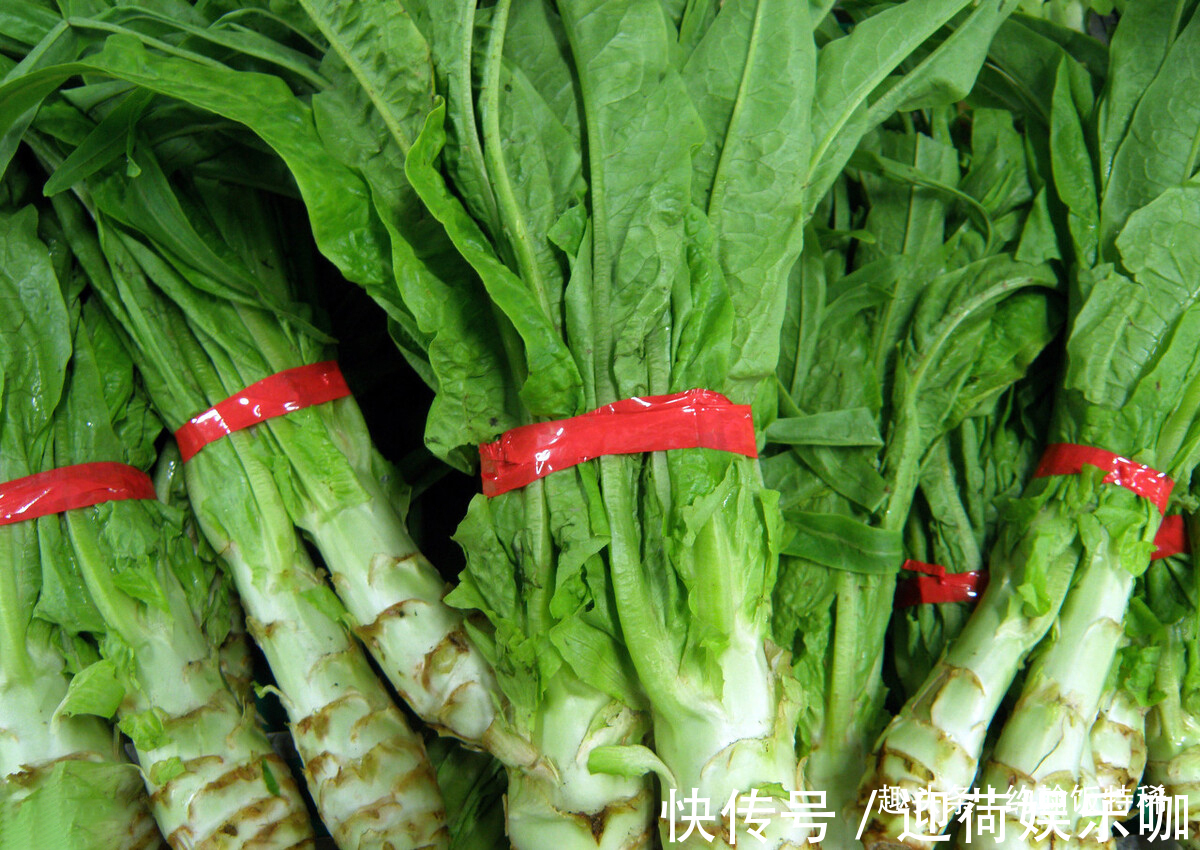 营养|这菜浑身是宝，人们却把叶子当垃圾丢掉，其实营养很高，扔掉可惜