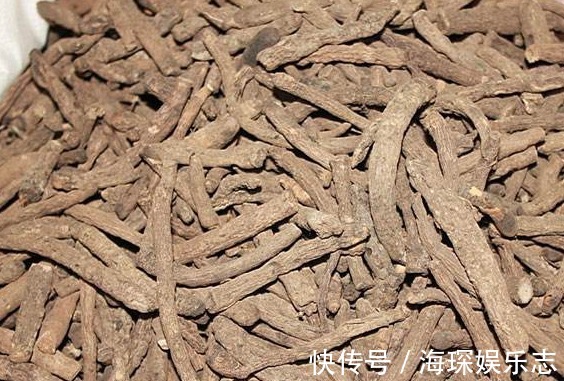 提高免疫力|十个男人九腰疼,推荐农村一种野菜,补肾腰不酸,祛湿肠胃好!