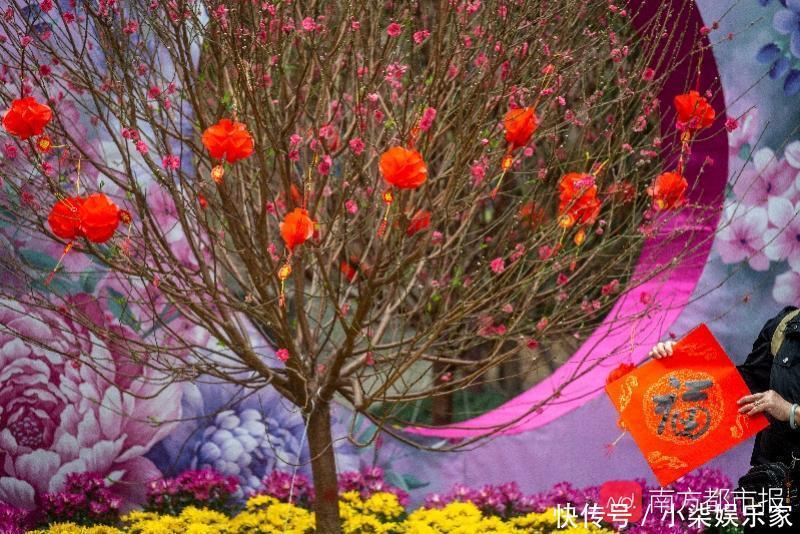 正月迊春花二月什么花 正月迊春花二月什么花