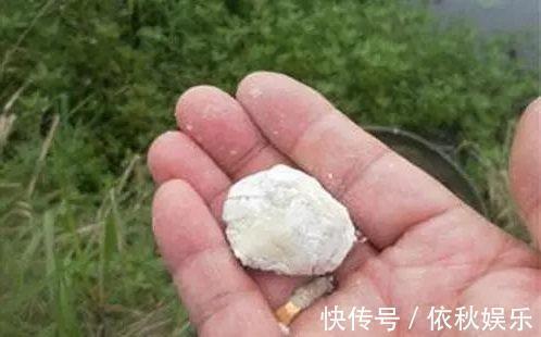 雾化型|如何开出一款好的饵料，这些细节问题要掌握