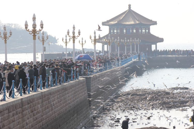 人潮鸥海入画来|显微镜 |人潮鸥海入画来\＂,\＂i12\＂:\＂显微镜