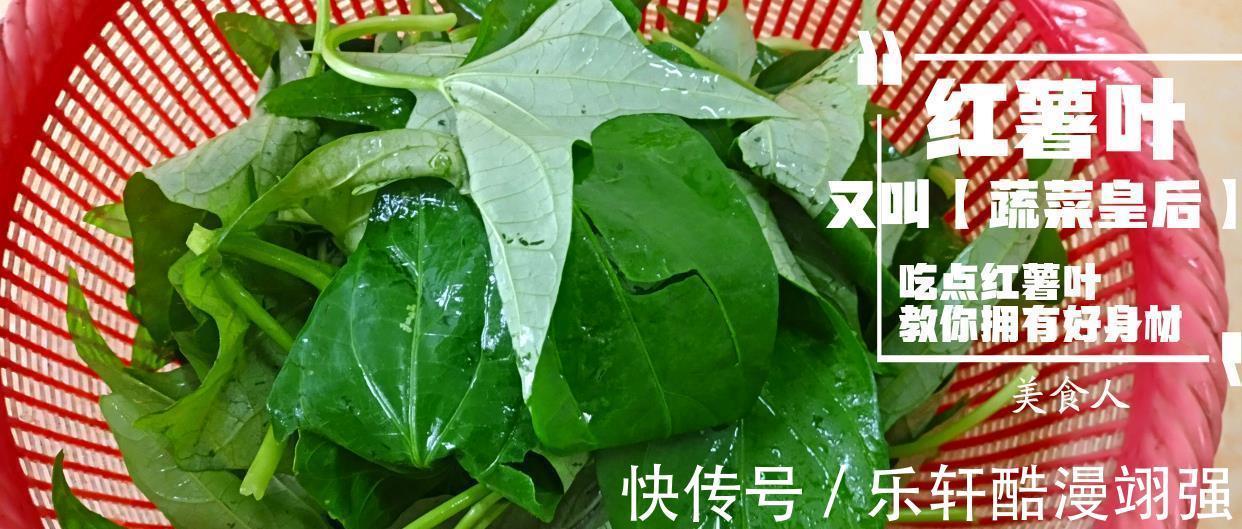红薯叶|红薯叶这样做太好吃了,营养不流失,给肉也不换