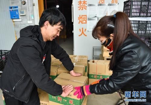 新华社发|黄土高原上的电商“大拿”