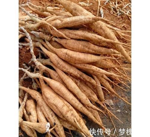 卵巢|女人常做4件事,等于要了卵巢“半条命”,别再傻傻不懂