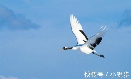 登高@历来文人多悲秋,但这三首诗词,却是秋光胜过春光