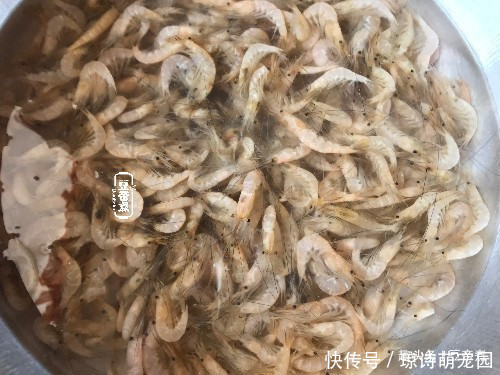 绝不|碰上此菜,我绝不还价,想吃还要碰运气,天然钙库,就是那么好吃