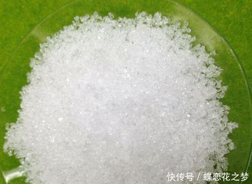 压弯|花期到了不开花用上1种“白粉末”,早晚浇一点,花多到压弯枝