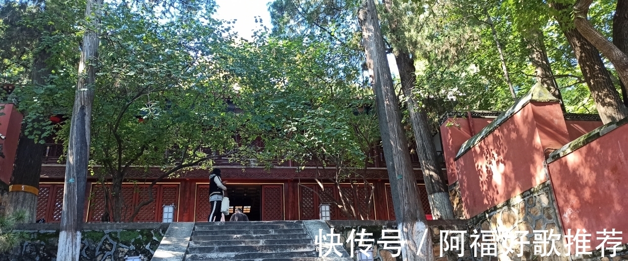 大觉寺|莱芜人在北京：游西山大觉寺