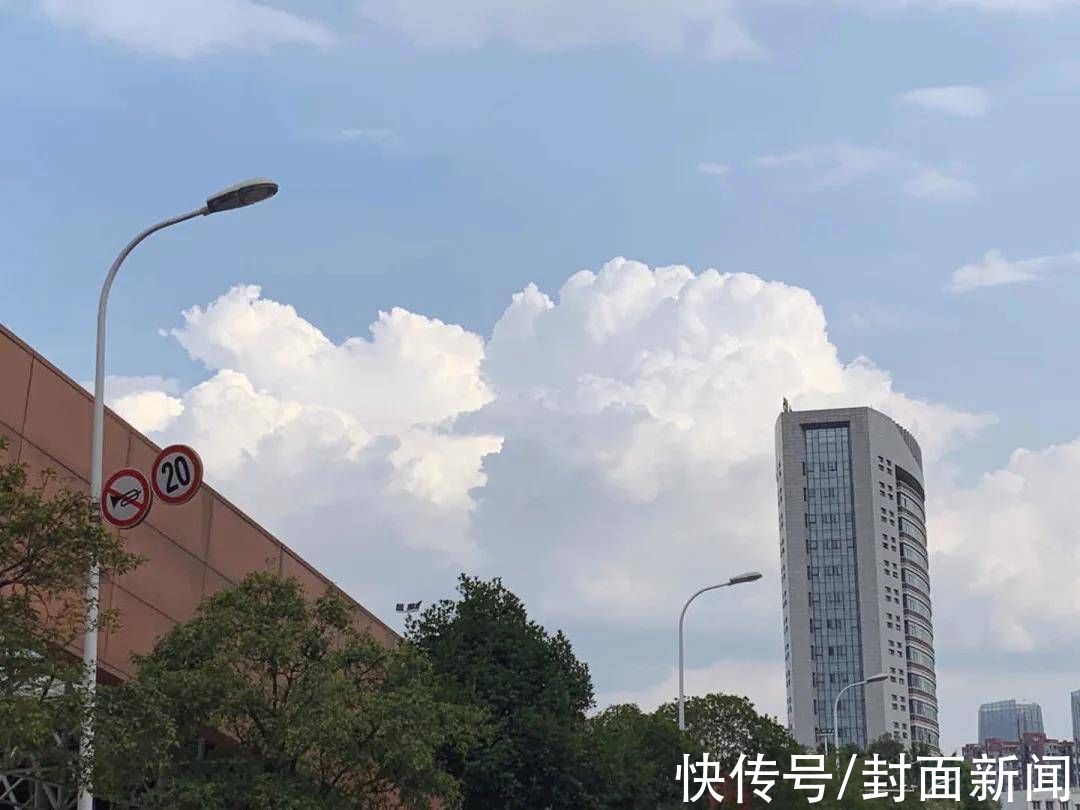 四川农业大学|封面研学｜待到春暖花开 瞰遍四川高校