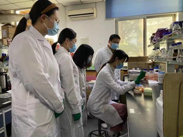 兰州大学|新研究：健康的肠道菌群可维持患者免疫力预防新冠病毒入侵肠道
