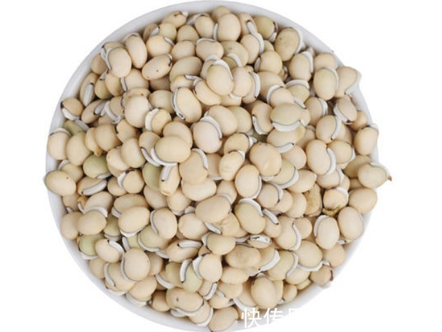 白扁豆|此豆被誉为“夏天第一豆”,是天然的胰岛素和抗癌药,营养价值高
