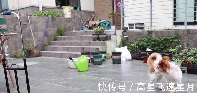 up主|同样都是从动漫解说转为真人出镜,为何lex被骂,泛式疯狂吸粉