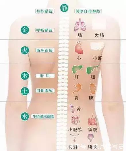 后背|立秋后,要先排湿热,再进补,否则容易瘀堵我们经络,耗伤气血