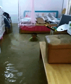 车主|搞笑GIF:10.业主临时停车被物业“锁轮胎”,看吉姆尼车主如何轻松应对