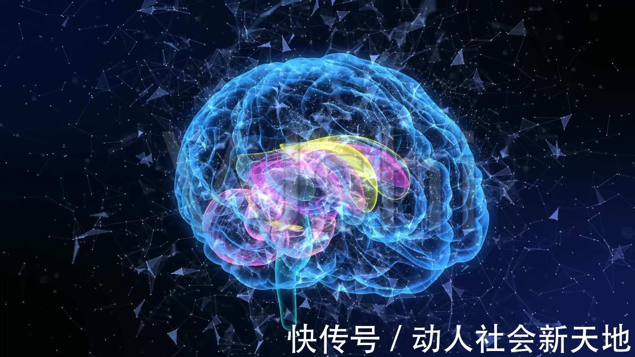 食物|长寿难道难于上青天?多吃5种食物,身体健康长寿不是梦